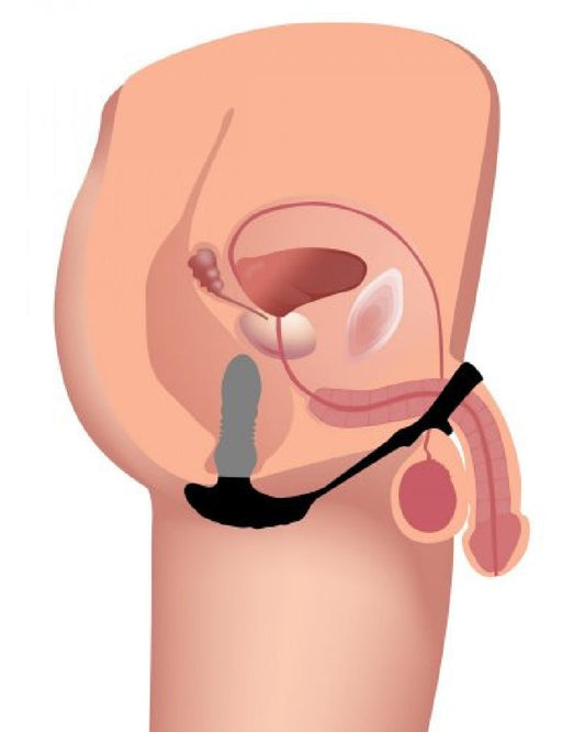 Thunder Plugs Thrusting Silicone Anal Vibrator w/ Cock & Ball Strap graphic showing how the plug works on a body